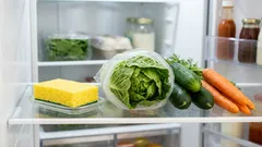 Una spugna nel frigorifero: un semplice trucco utilizzato dalle casalinghe esperte